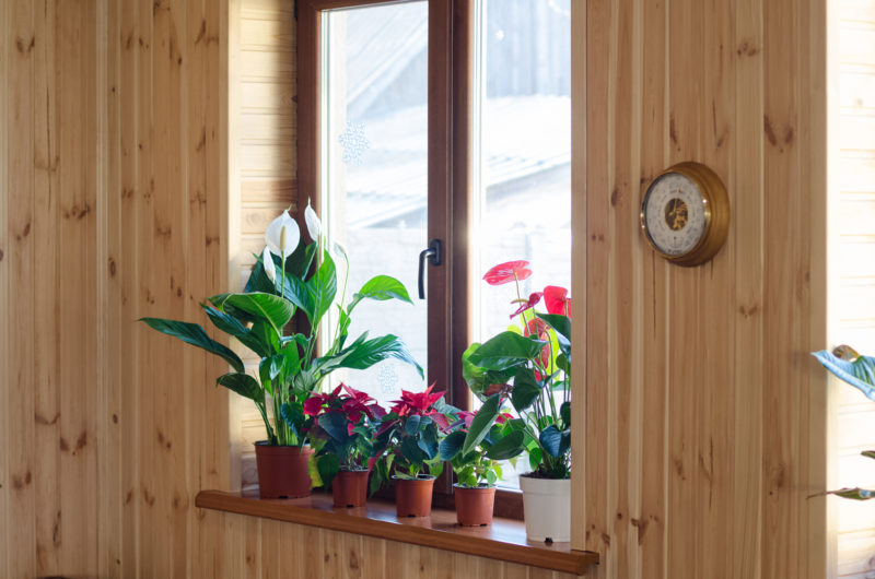 5 Hacks to Improve Your Home’s Indoor Air Quality