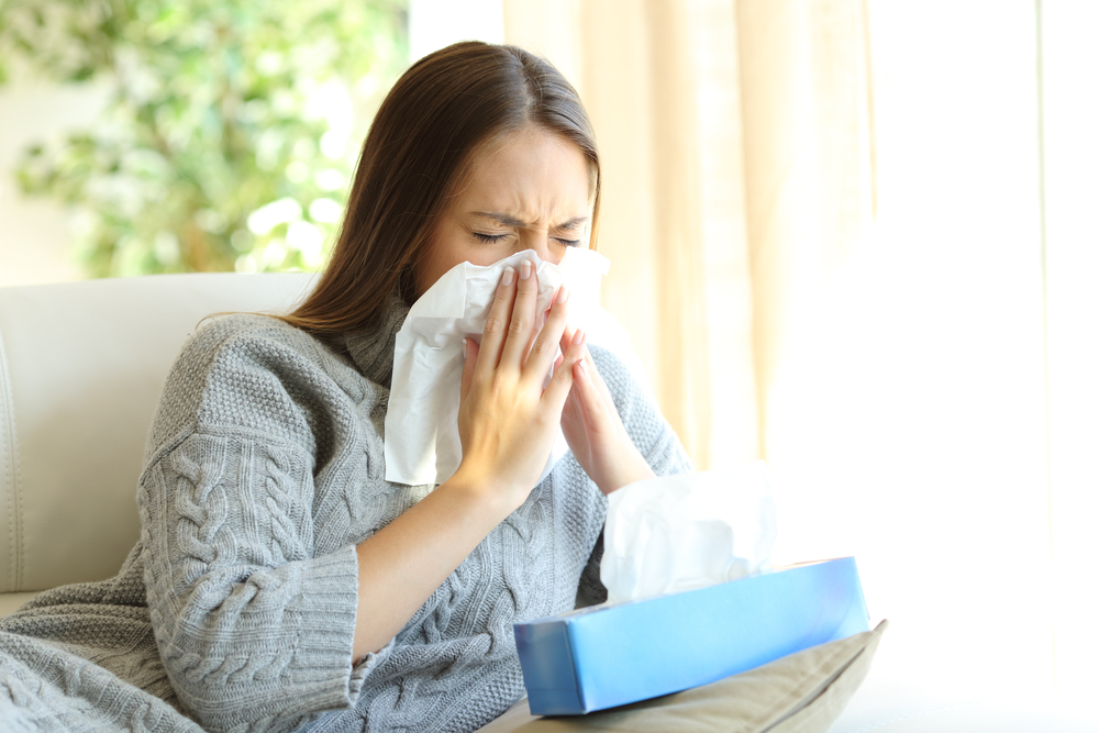 Home Air Purification System Allergies